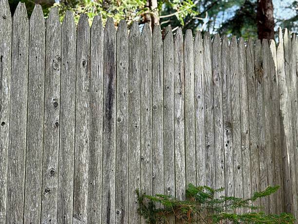 Wood Fence