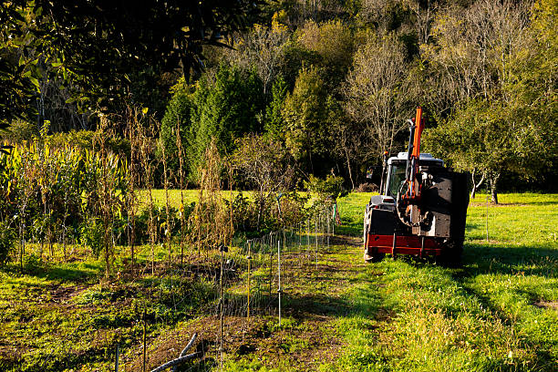 Red tractor on farm with greenery and forest in sunlit rural landscape. High quality.