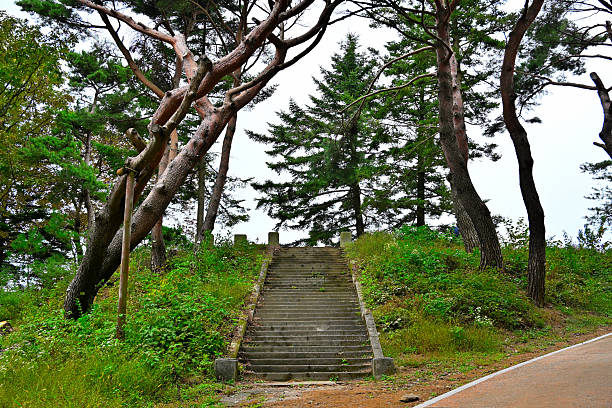 Stairs to a foundation built in the mountains