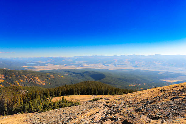From a high mountain slope, this expansive view captures the sprawling forested valley below, surrounded by layered ridges fading into the horizon. The deep, cloudless blue sky stretches overhead, blending seamlessly into the pale atmosphere above the distant peaks. The golden tones of dry alpine grass contrast with the cool greens of the evergreens, embodying the serenity and magnitude of wilderness at elevation. The composition evokes both solitude and majesty — the stillness of open air, high above the tree line.