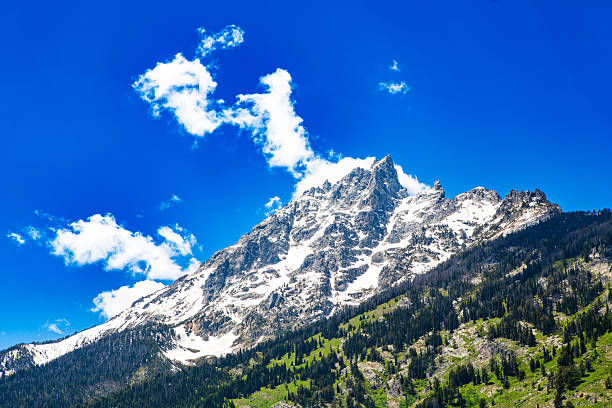 The Grand Teton rises in full glory under an impossibly blue Wyoming sky, its jagged granite spires still dusted with snow from the lingering high-mountain cold. Wisps of white cloud wrap gently around the summit, adding movement to the still, commanding mass of rock and ice. The forested slopes below shimmer with summer green, symbolizing renewal and endurance in the face of permanence. This image captures the Tetons at their most divine — a cathedral of stone and sky, where nature stands in worship of its own creation.