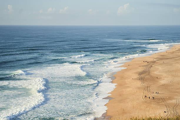 istock Coastal landscape from cliff, with ocean, beach, and lush greenery. Nazare 2244170022