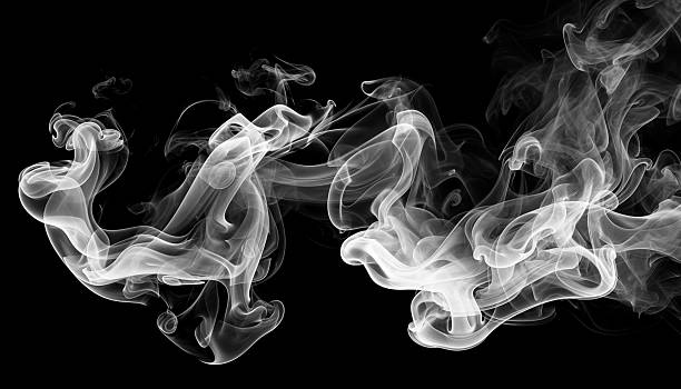 White smoke swirls gracefully against black background, creating abstract and mysterious pattern