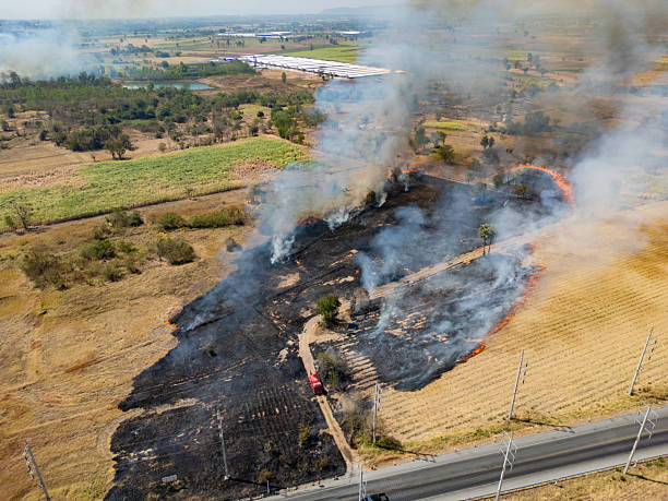 istock Aerial view from drone showing open burning in farmland 2244171299