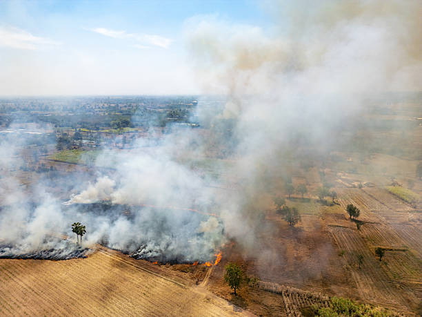 istock Aerial view from drone showing open burning in farmland 2244171301