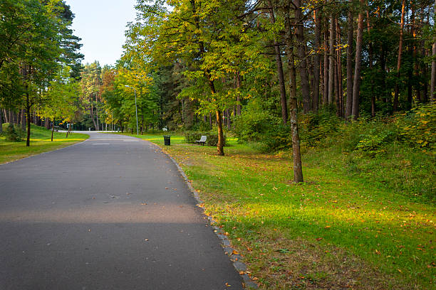 istock A beautiful golden autumn scenery of a leaf covered pathway in Riga, Latvia. 2244172500