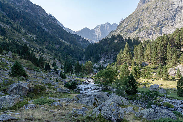 Young adult woman trail hiking on high mountain