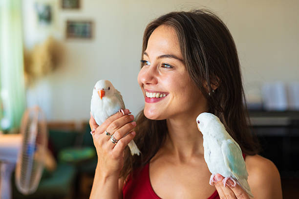 istock Young smiling woman playing with her pet parakeets 2244175623
