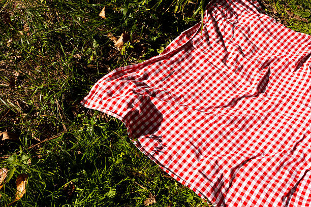 istock Red and white checkered picnic blanket on green grass in sunlight 2244175691