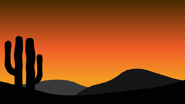istock Sunset and cactus. Sunset with mountains in the background. Silhouette of cactus 2244176087