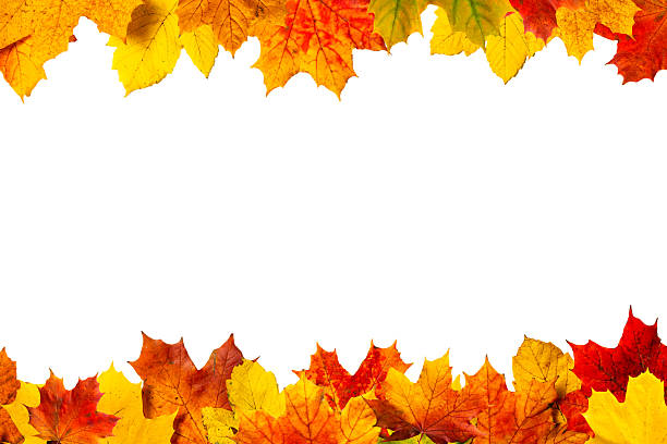 istock Top Border of Autumn Leaves 2244181746