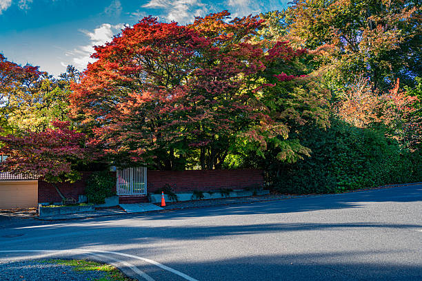 istock West Seattle Home In Autumn 2244183356