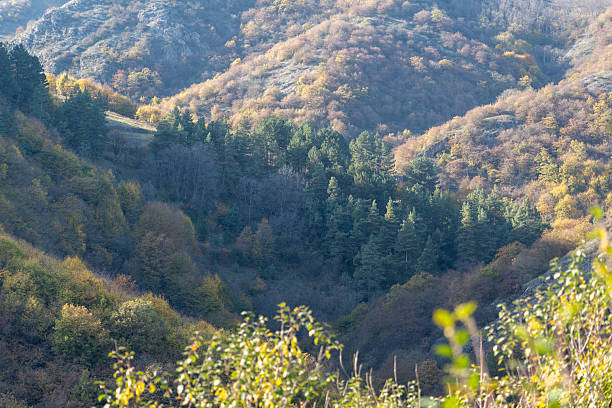 istock Autumn Mountain Ridge: Contrasting Deciduous Trees and Rocky Landscape 2244183971