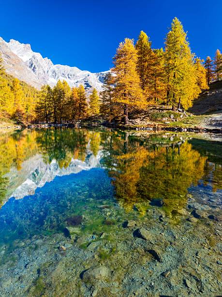 istock The autumn in the Alps. 2244184056