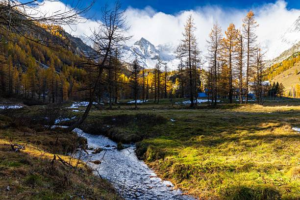 In Piedmont, at the end of the Lanzo Valley, there is an incredibly high mountain pasture, Pian della Mussa, surrounded by a wall of imposing mountain peaks. The terrible storm wind blows away the leaves of the larch trees, the snow has already fallen a few days earlier, winter is coming. In the evening, the mountain range casts longer shadows into the valley.