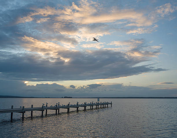 istock Seagulls sitting on lakeside jetty at blue twilight 2244193538