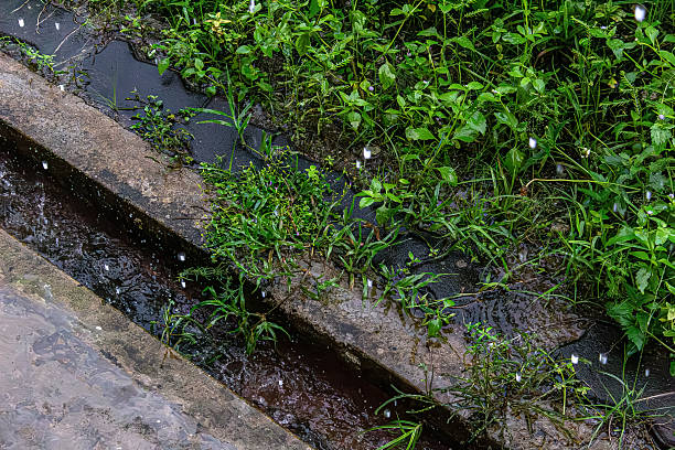 istock Rainwater Flow and Grass in Motion Freeze 2244193920