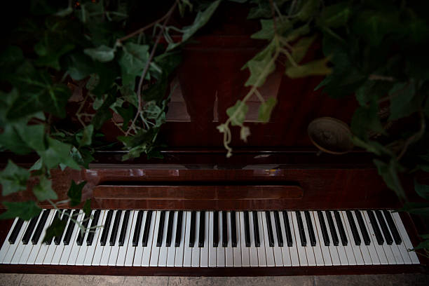istock Vintage piano keyboard covered in ivy and dust 2244194029