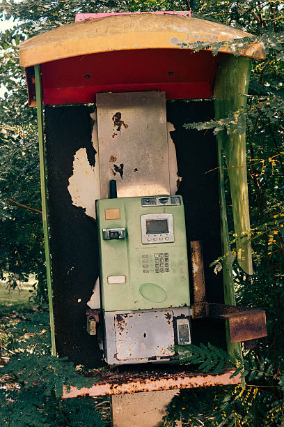 istock Telephone Booth in Lush Green Forest 2244194438
