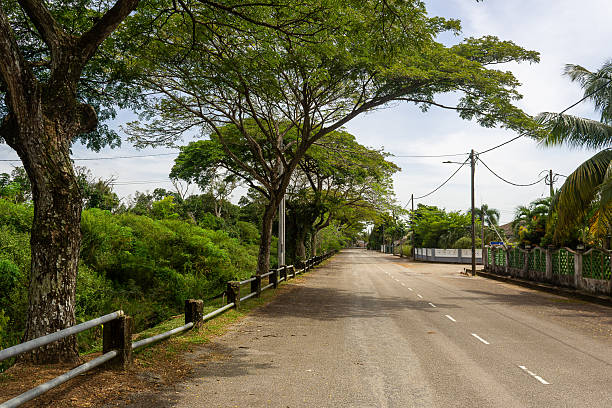 istock Daylight Road Scene with Tree Shadows and Clear Sky 2244195142