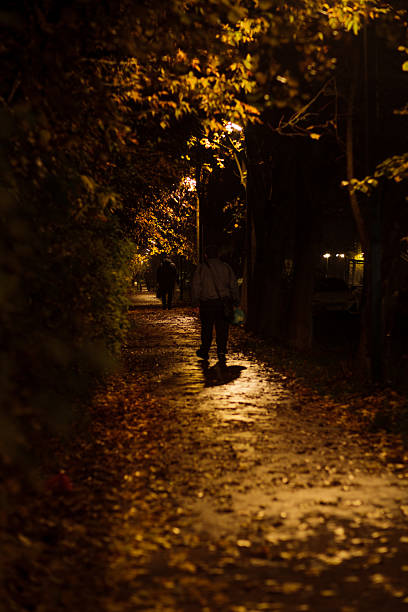 istock Evening Stroll on a Leafy Path Under Streetlights in a Tranquil Park 2244196873