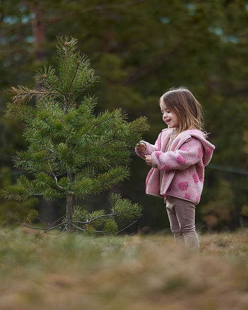 Young girl smiling, exploring a small pine tree in an outdoor forest environment.