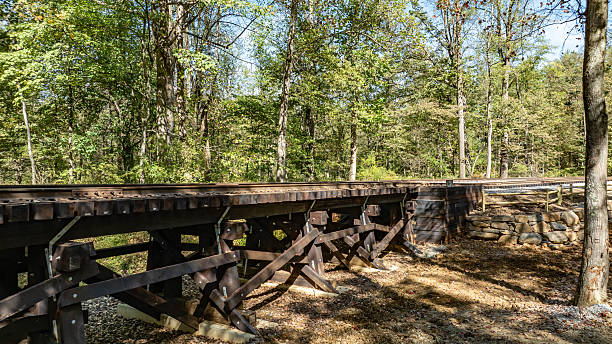 istock Wooden Railway Bridge Surrounded by Dense Forest in a Serene Natural Setting 2244202477