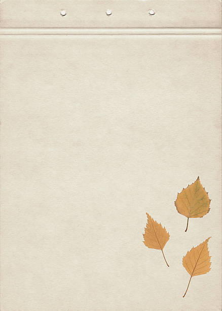 Rustic autumn background with pressed birch leaves on textured vintage paper, featuring botanical herbarium foliage arranged in a minimal warm style. This natural composition blends eco design aesthetics with seasonal charm, suitable for handmade craft projects, scrapbook layouts, organic decoration, and sustainable product design. The pressed leaves highlight botanical detail and texture, perfect for nature illustration, herbarium education, and creative stationery concepts. The warm vintage tones evoke a calm rustic mood, ideal for autumn-themed backgrounds, natural packaging, and eco-friendly visual design inspired by forest foliage.