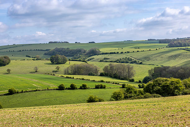 istock A view over Stanmer Down in the South Downs, on a sunny spring day 2244206371