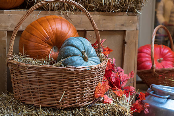 Fall harvest display with pumpkins and autumn leaves in a rustic setting