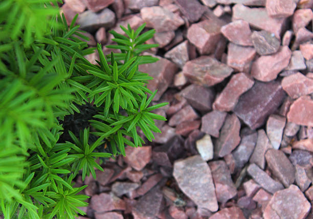 Ornamental Granite Rubble and Artificial Plant For Outdoor Decor
