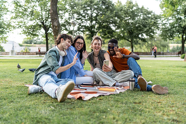istock Diverse friends enjoying video call during picnic in park 2244210050
