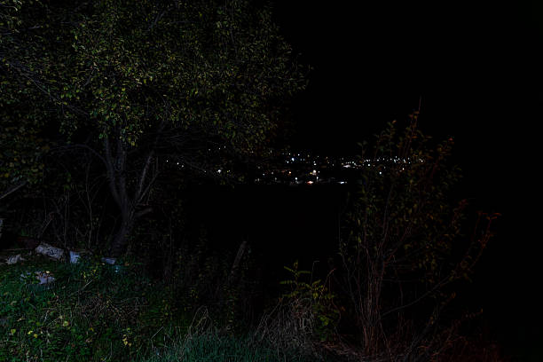 Night view of village lights through trees