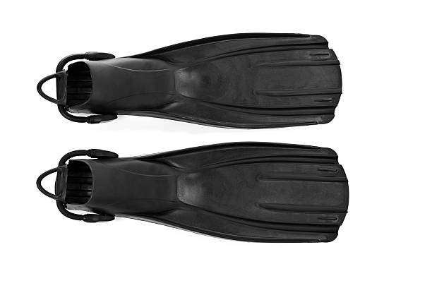 A pair of black open heel fins isolated on white background