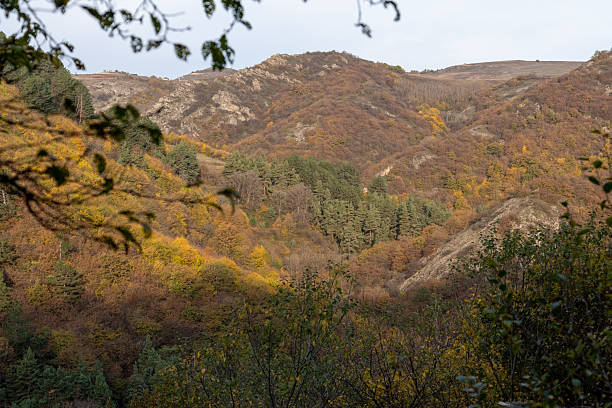 istock Autumn forested hills with vibrant fall foliage 2244211751