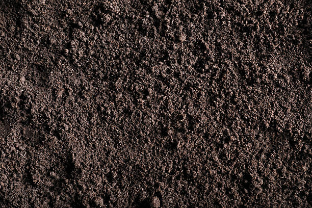 istock Fresh soil as background, top view. Organic matter 2244211944
