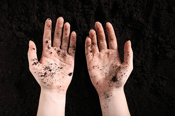 istock Woman with fresh soil, top view. Organic matter 2244211962