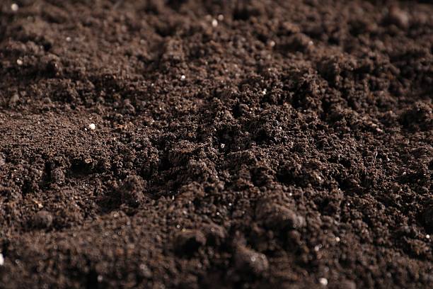 istock Fresh soil as background, closeup. Organic matter 2244211981