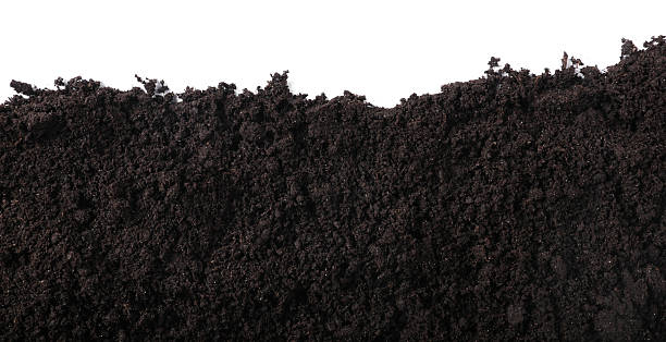 istock Fresh soil isolated on white, top view 2244212119
