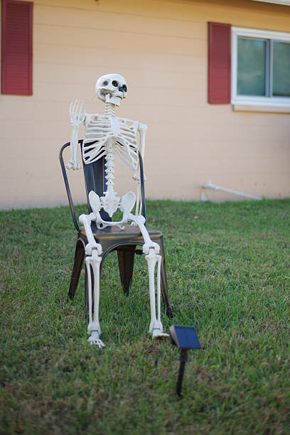 istock One life-size Skeleton Sitting On Chairs in Front Yard for Halloween Decor or Halloween Prop Display. 2244212964