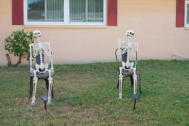 istock Two life-size Skeletons Sitting On Chairs in Front Yard for Halloween Decor or Halloween Prop Display. 2244213065