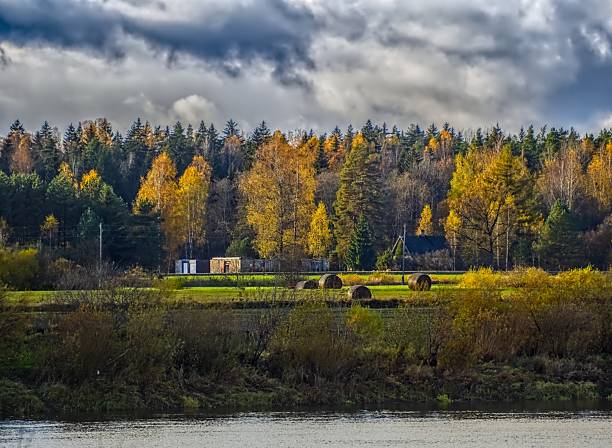 Landscapes - Forest - Europe, Romania, Suceava region