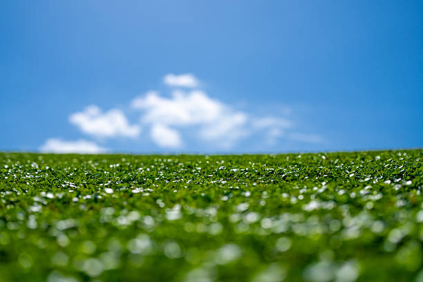 Grass background. Green field. Summer meadow. Spring hill. Grassy lawn. Grass texture. Natural green texture. Sunny grass. Countryside landscape. Pasture pattern. Grassland view. Rural grass