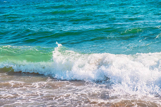 istock Soft wave of blue sea on sandy beach. 2244222811