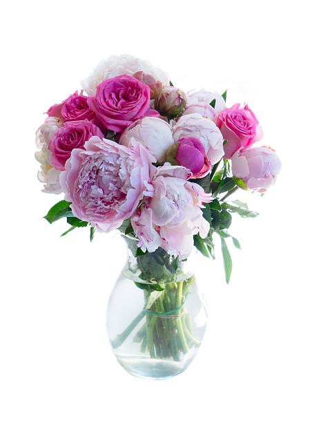istock Fresh peonies flowers 2244223004