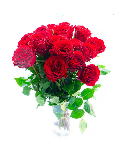 istock Crimson red rose flowers 2244223778
