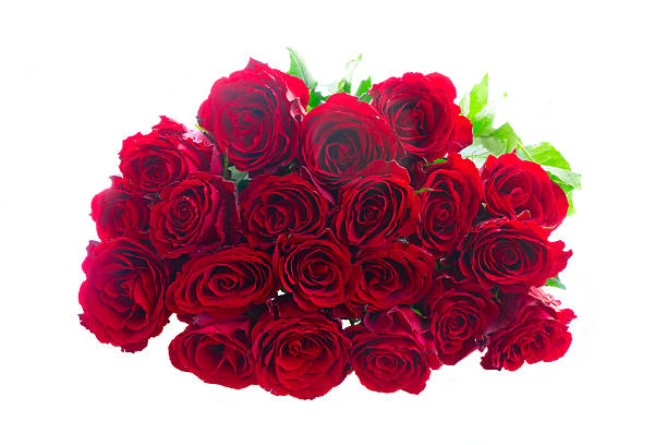 istock Crimson red rose flowers 2244223888
