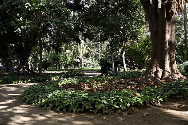 istock parque de malaga, malaga, spain 2244225505