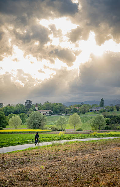 A lone cyclist pedals along a rural paved in Switzerland path through vibrant green fields and yellow flowers, framed by towering dark storm clouds with rays of sunlight breaking through in a dramatic rural landscape.