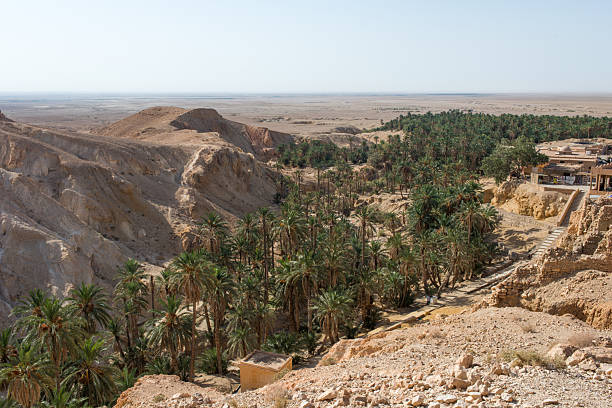 istock Scenic view of Chebika oasis, in Tunisia 2244230377